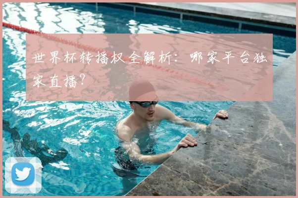 世界杯转播权全解析：哪家平台独家直播？