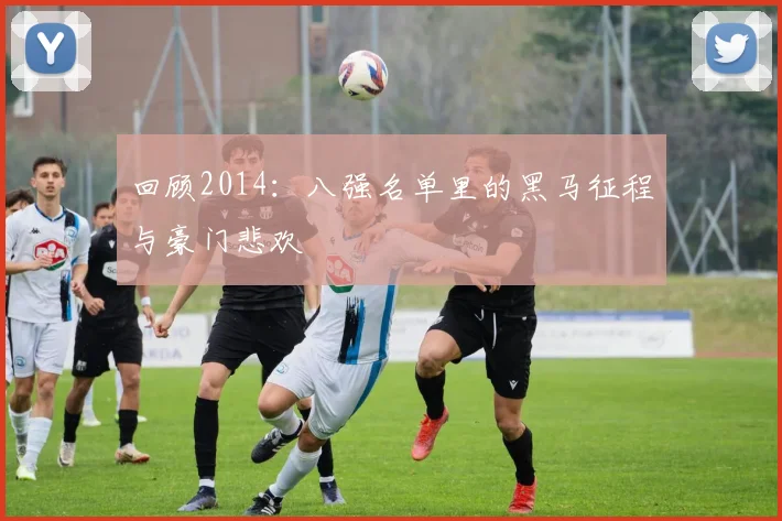回顾2014：八强名单里的黑马征程与豪门悲欢