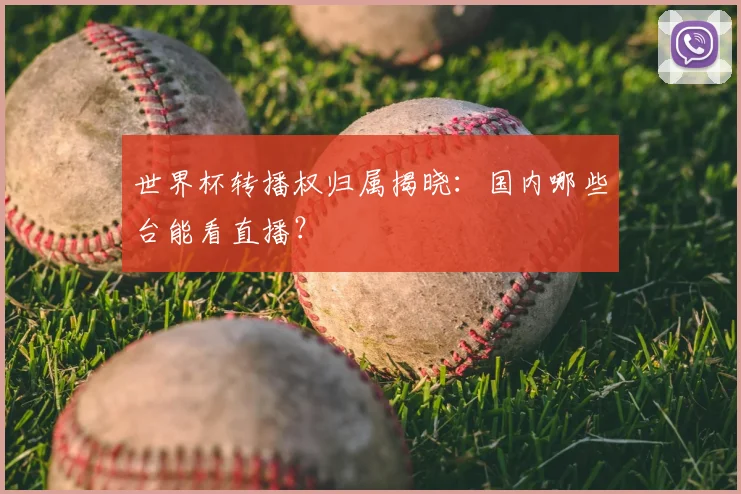 世界杯转播权归属揭晓：国内哪些台能看直播？
