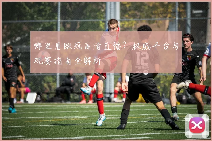 哪里看欧冠高清直播？权威平台与观赛指南全解析