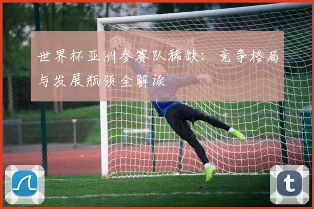 世界杯亚洲参赛队稀缺：竞争格局与发展瓶颈全解读