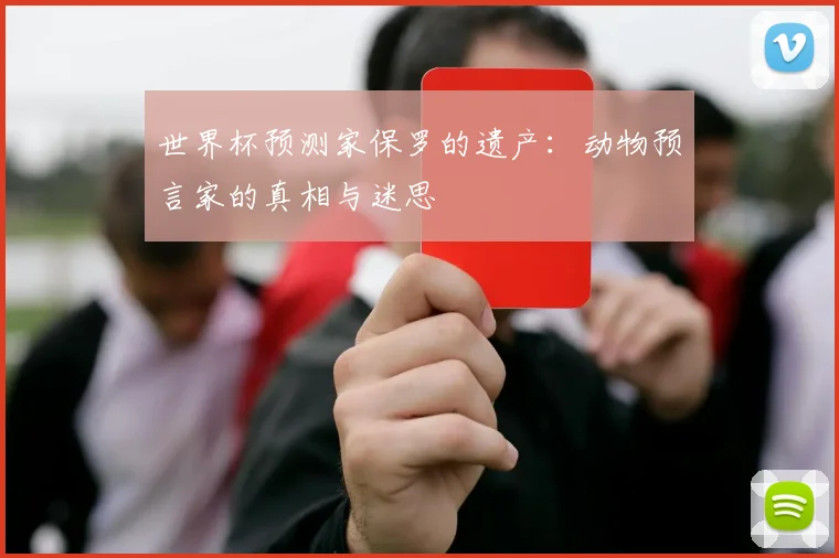 世界杯预测家保罗的遗产：动物预言家的真相与迷思